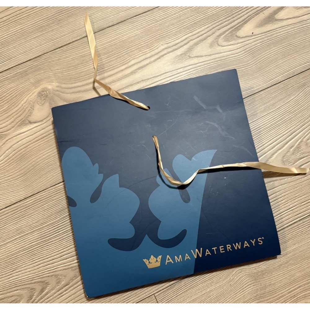AMA Waterways New In Packaging Blue Floral Scarf